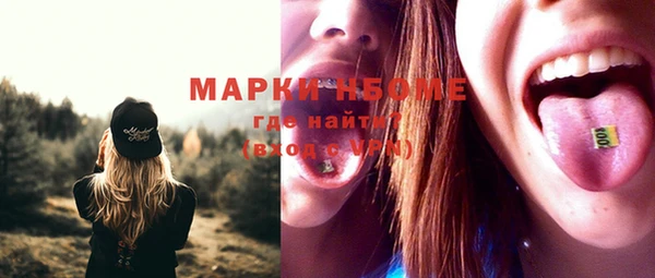 твердый Арсеньев