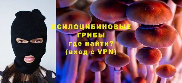 шишки Армянск