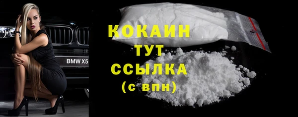 шишки Армянск