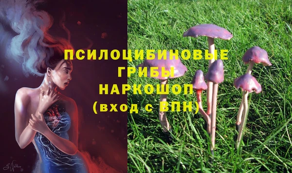 шишки Армянск