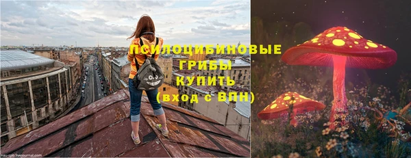 шишки Армянск