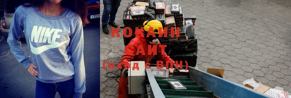 шишки Армянск