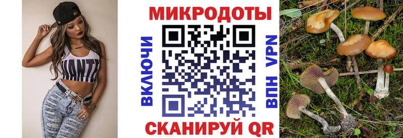 гидра как войти  цена   Солнечногорск  Галлюциногенные грибы мицелий 