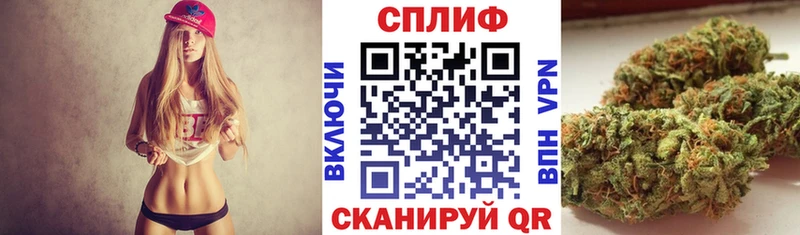 наркошоп  Солнечногорск  Конопля SATIVA & INDICA 